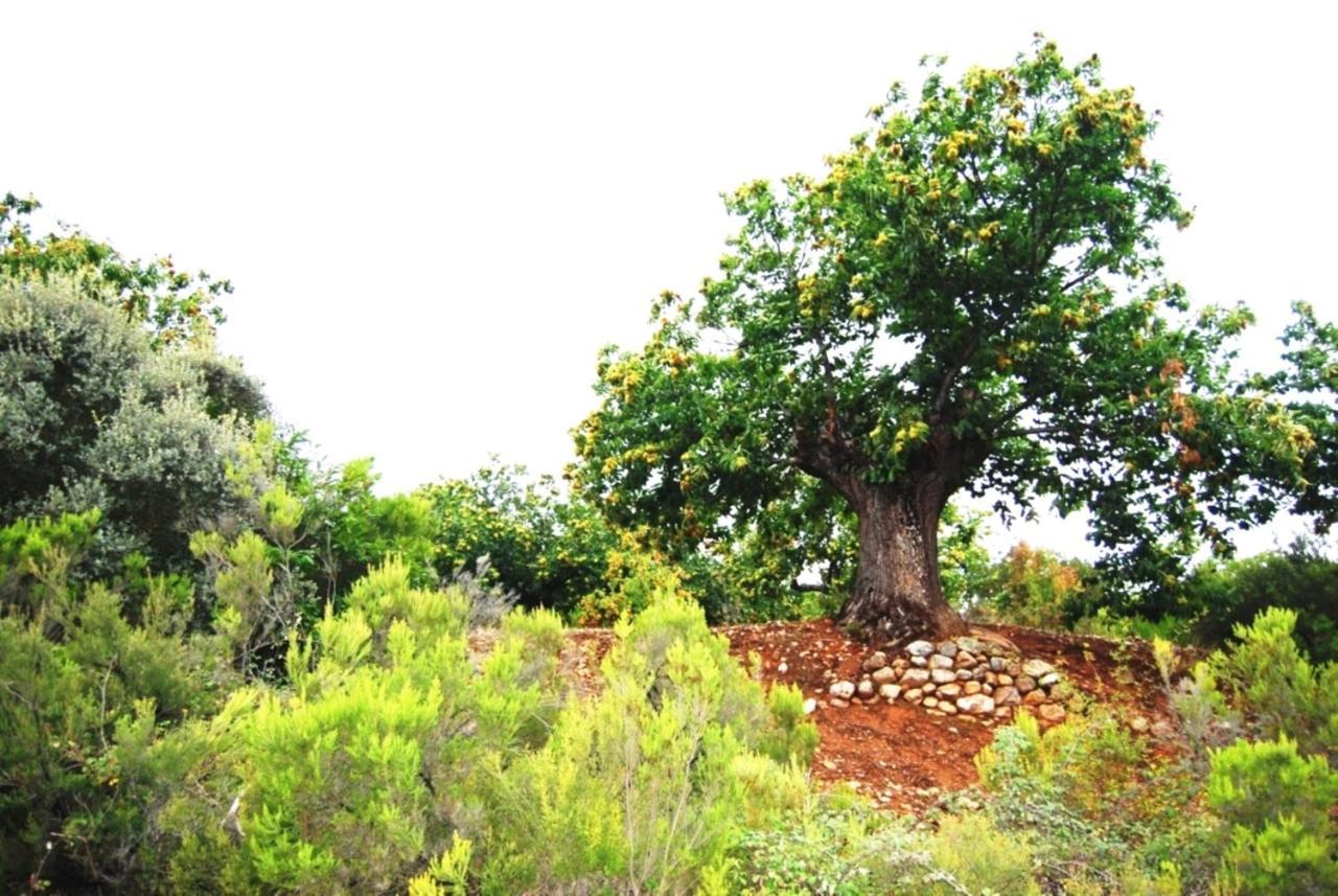 Rural Médulas Las Médulas Extérieur photo